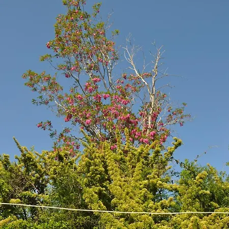 キャンプ場 Camping Mas Llinas ル・ブールー